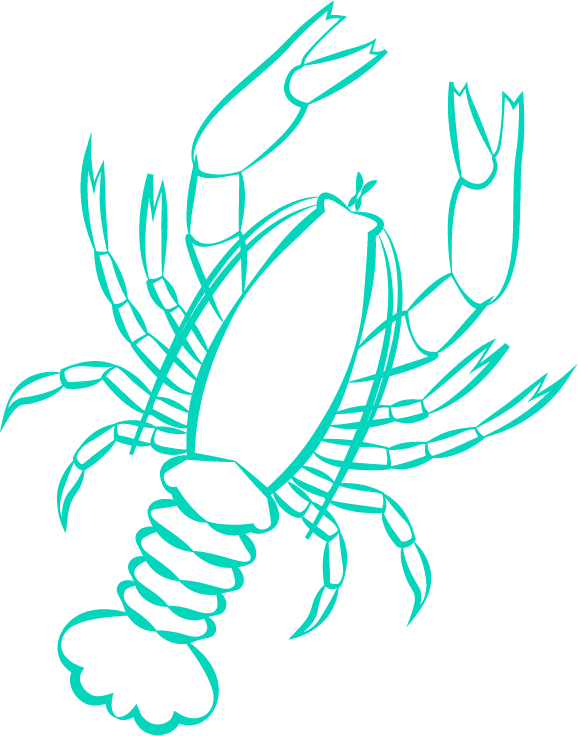 De Vette Mossel Hermanus