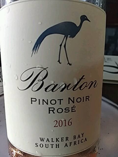 Pinot Noir Rosé
