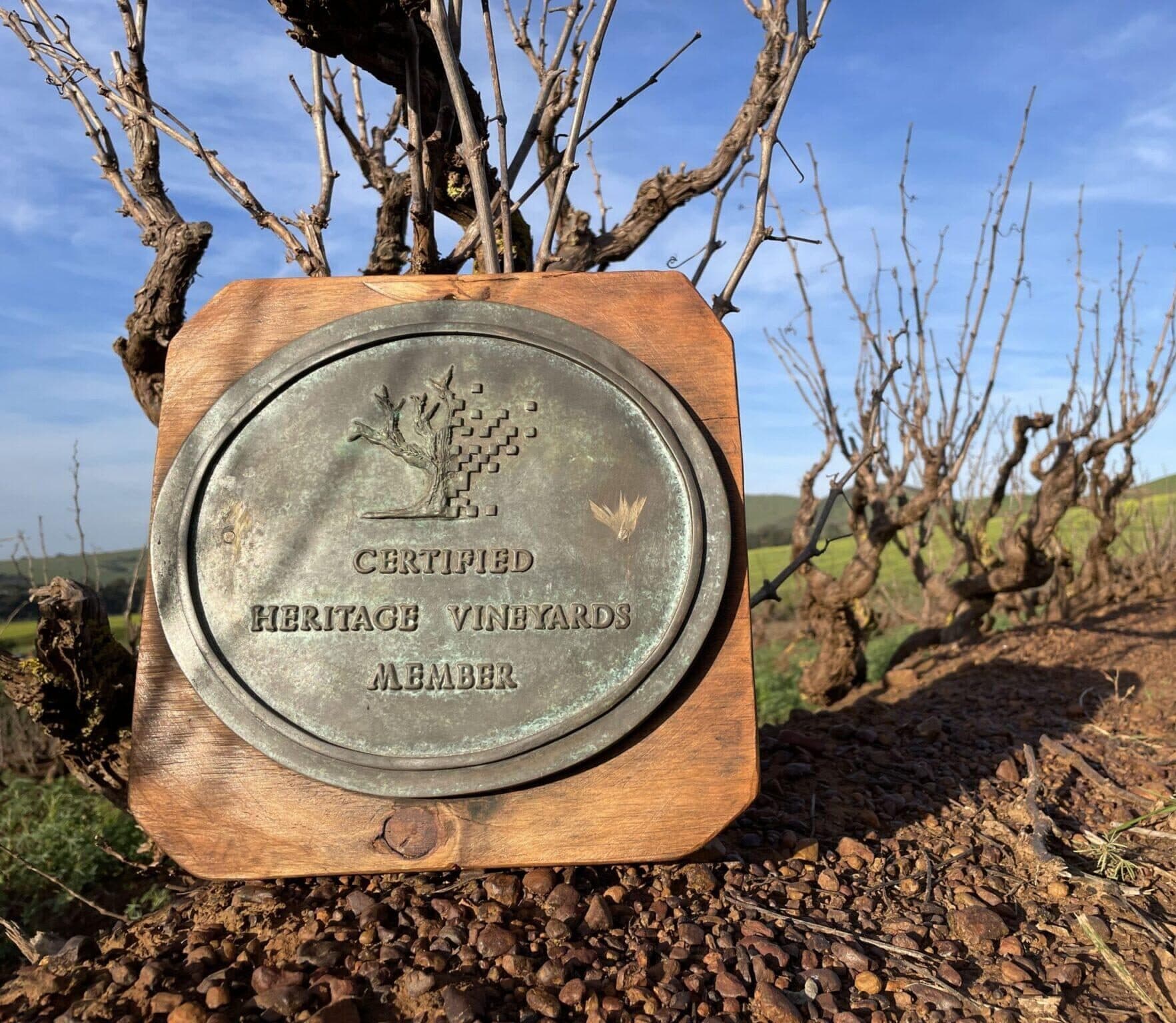 Meerendal Wine Estate